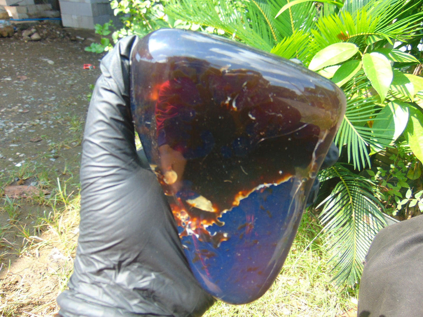 305 gram Blue polished Indonesian  Amber for Healing AR159