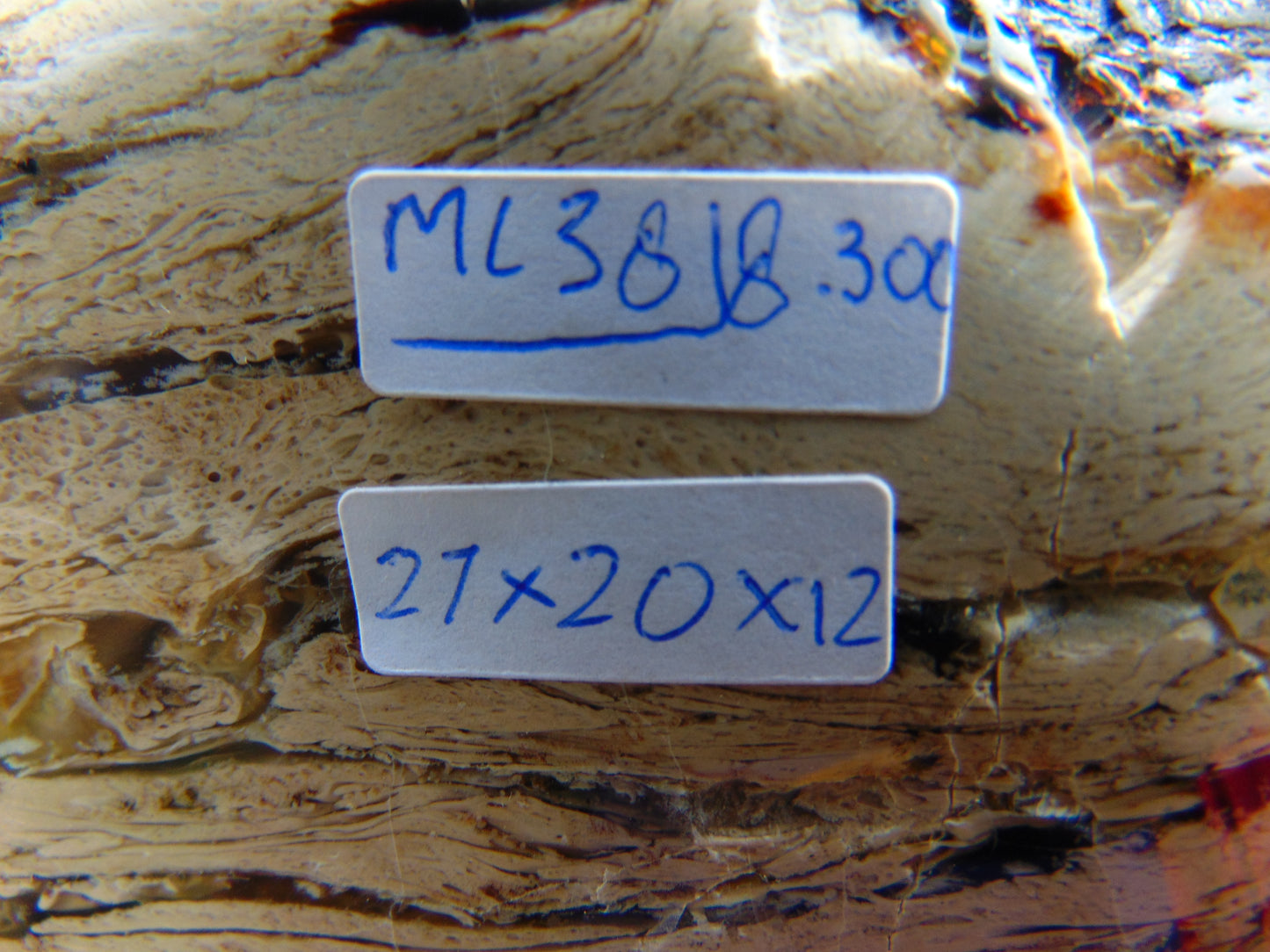 8300 gram Big Full Polished Indonesia Zebra White Amber for Healing ML38