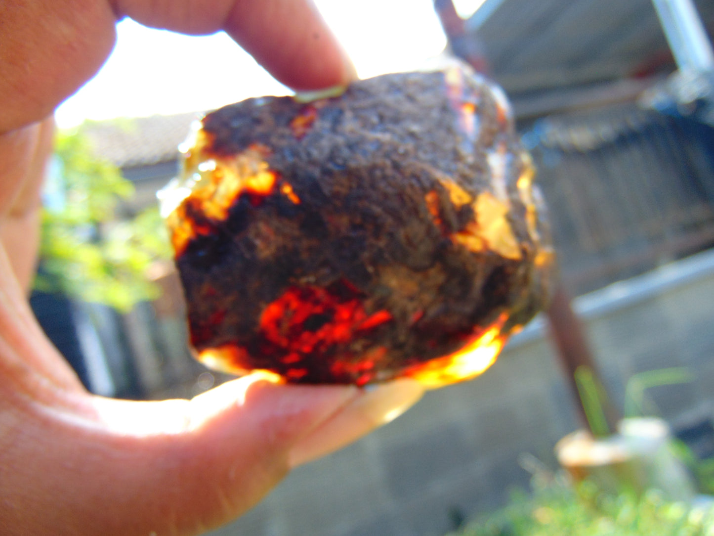 39 gram Rough Raw Indonesian Blue Amber for Healing RBAR77