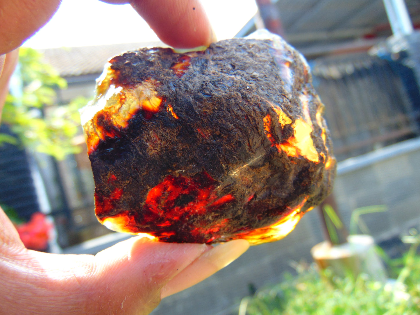 39 gram Rough Raw Indonesian Blue Amber for Healing RBAR77