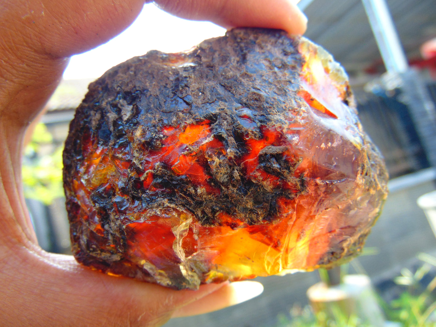88 gram Rough Raw Indonesian Blue Amber for Healing AGRB131