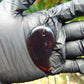 Natural Indonesian Crystal Amber Pendant Magatama, 11 gram Amber Comma Pendant,Unique Statement Gift for Men Women 26A53
