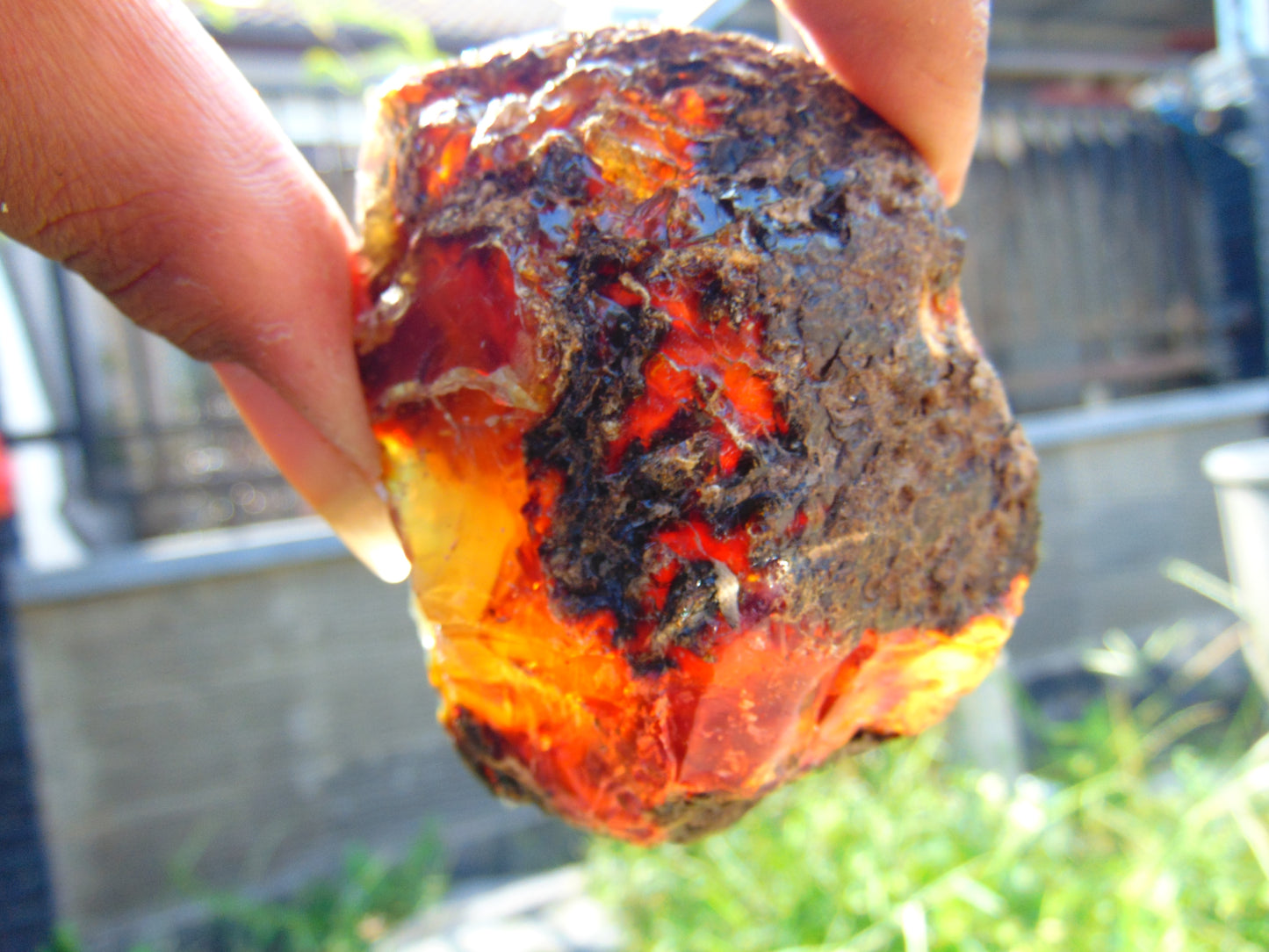 88 gram Rough Raw Indonesian Blue Amber for Healing AGRB131
