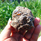 85 gram Rough Raw Indonesian Blue Amber for Healing AGRB107