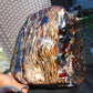9805 gram full polished 29x27x22 cm Indonesian Zebra Blue Amber for Healing ML58