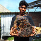 9805 gram full polished 29x27x22 cm Indonesian Zebra Blue Amber for Healing ML58