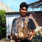 9805 gram full polished 29x27x22 cm Indonesian Zebra Blue Amber for Healing ML58