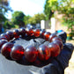 18 Gram 18 Small Beads Bracelet Indonesian Cherry Red Bluish Amber for Healing SB51