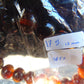 18 Gram 18 Small Beads Bracelet Indonesian Red Bluish Amber for Healing SB52