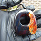 27 gram Ring Pendant Indonesian red blue Amber for Healing 25y152