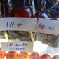 18 Gram 18 Small Beads Bracelet Indonesian Red Bluish Amber for Healing SB40