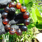 56 gram 12 Beads Mala Bracelet Indonesian Cherry Red Amber 20 mm for Healing G20B15