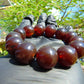 43 gr 13 Beads Mala Bracelet Indonesian Sumatra Dark Amber for Healing G18B8