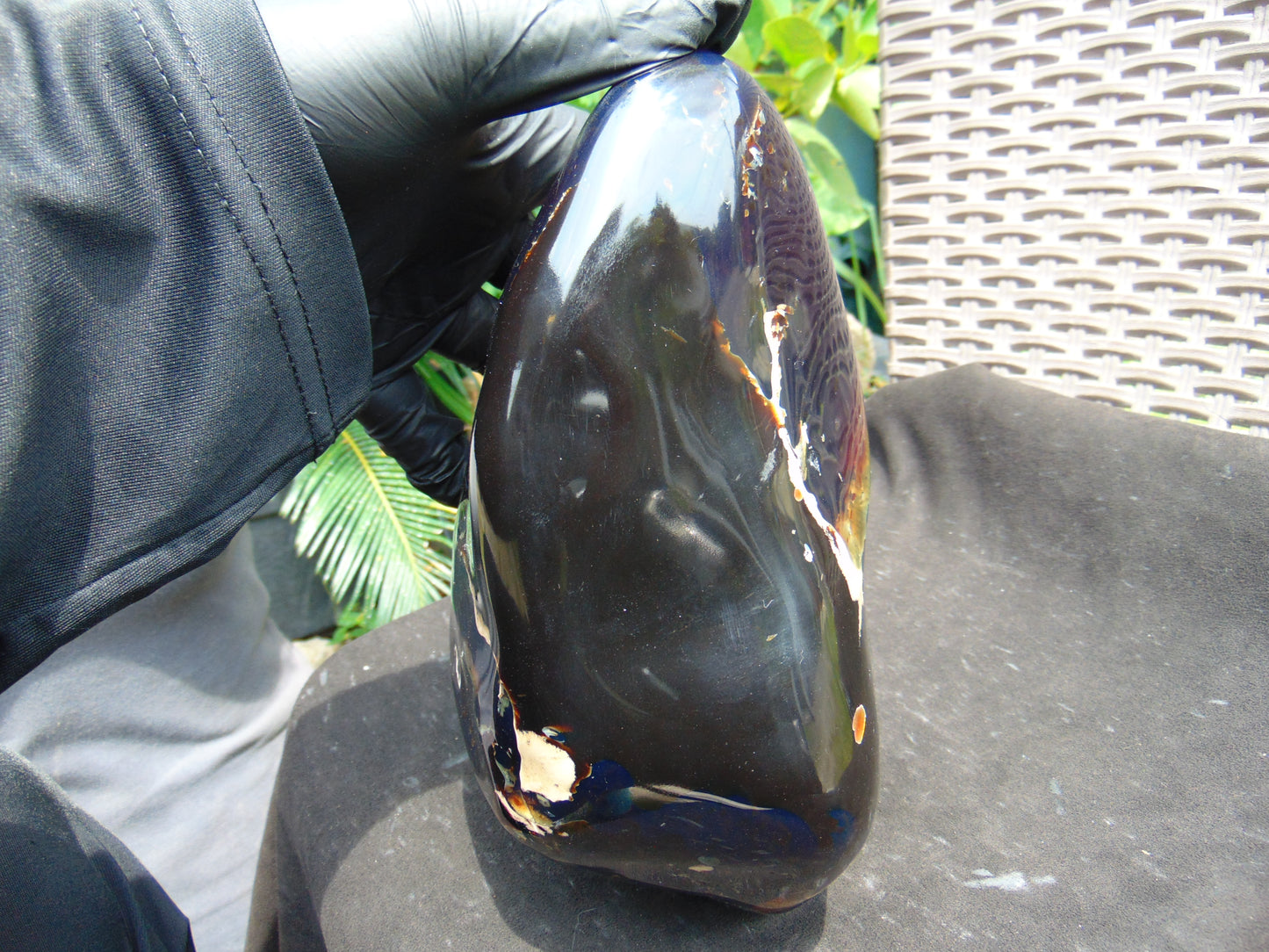 1643 gr Blue Polished 22x11x9 mm Indonesia Black Blue Amber for Healing ML59