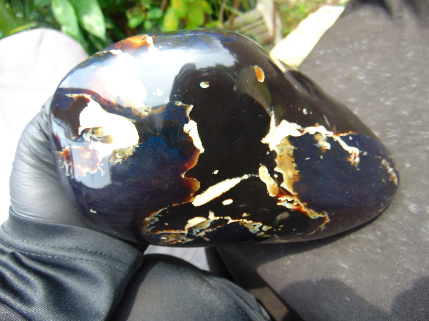 1643 gr Blue Polished 22x11x9 mm Indonesia Black Blue Amber for Healing ML59