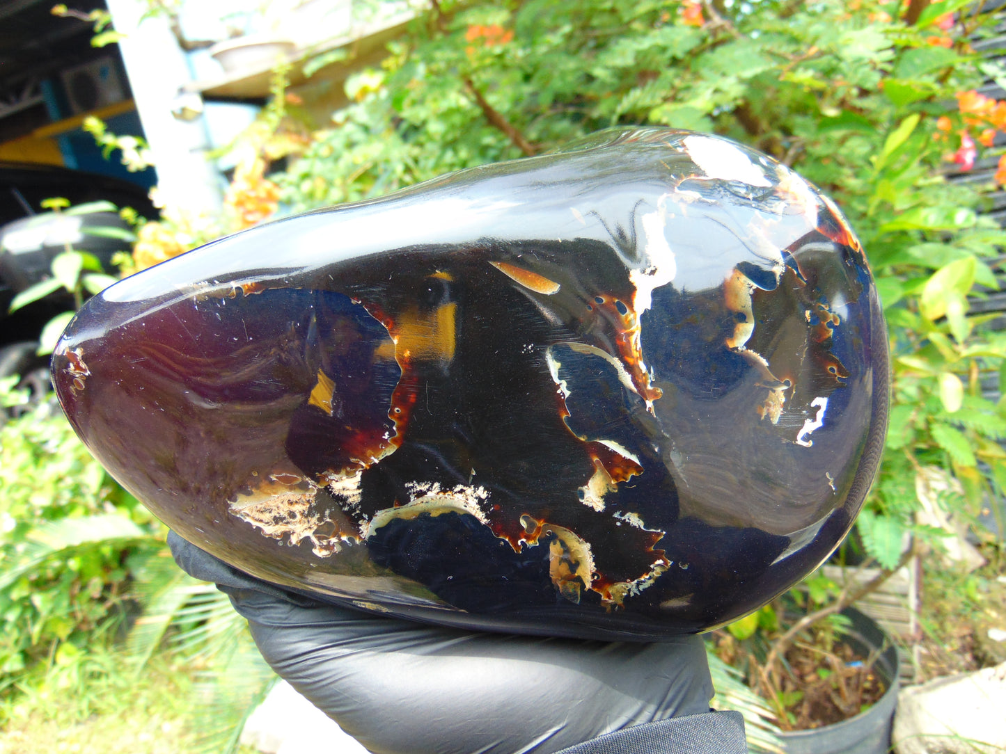 1643 gr Blue Polished 22x11x9 mm Indonesia Black Blue Amber for Healing ML59