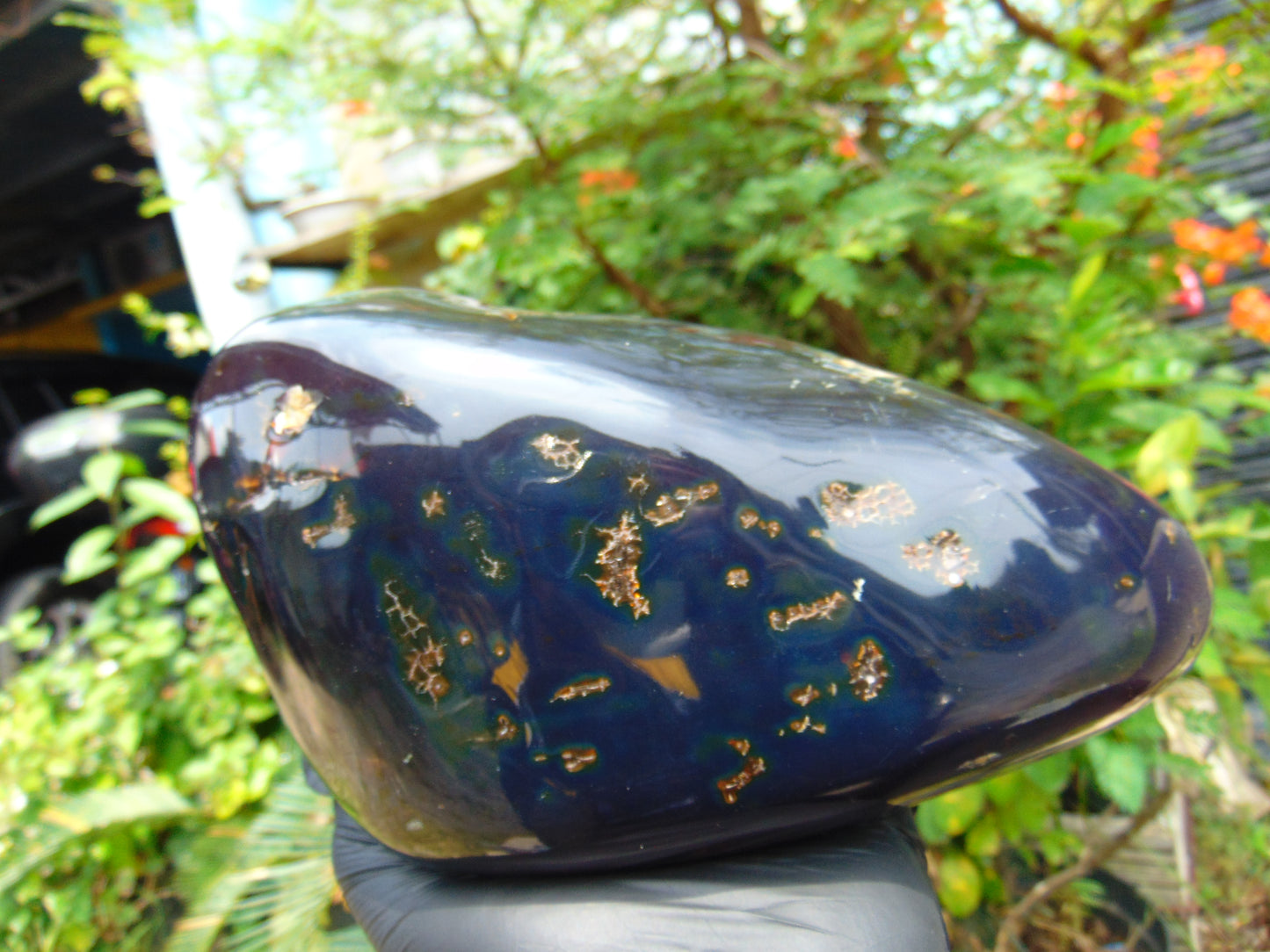 1643 gr Blue Polished 22x11x9 mm Indonesia Black Blue Amber for Healing ML59