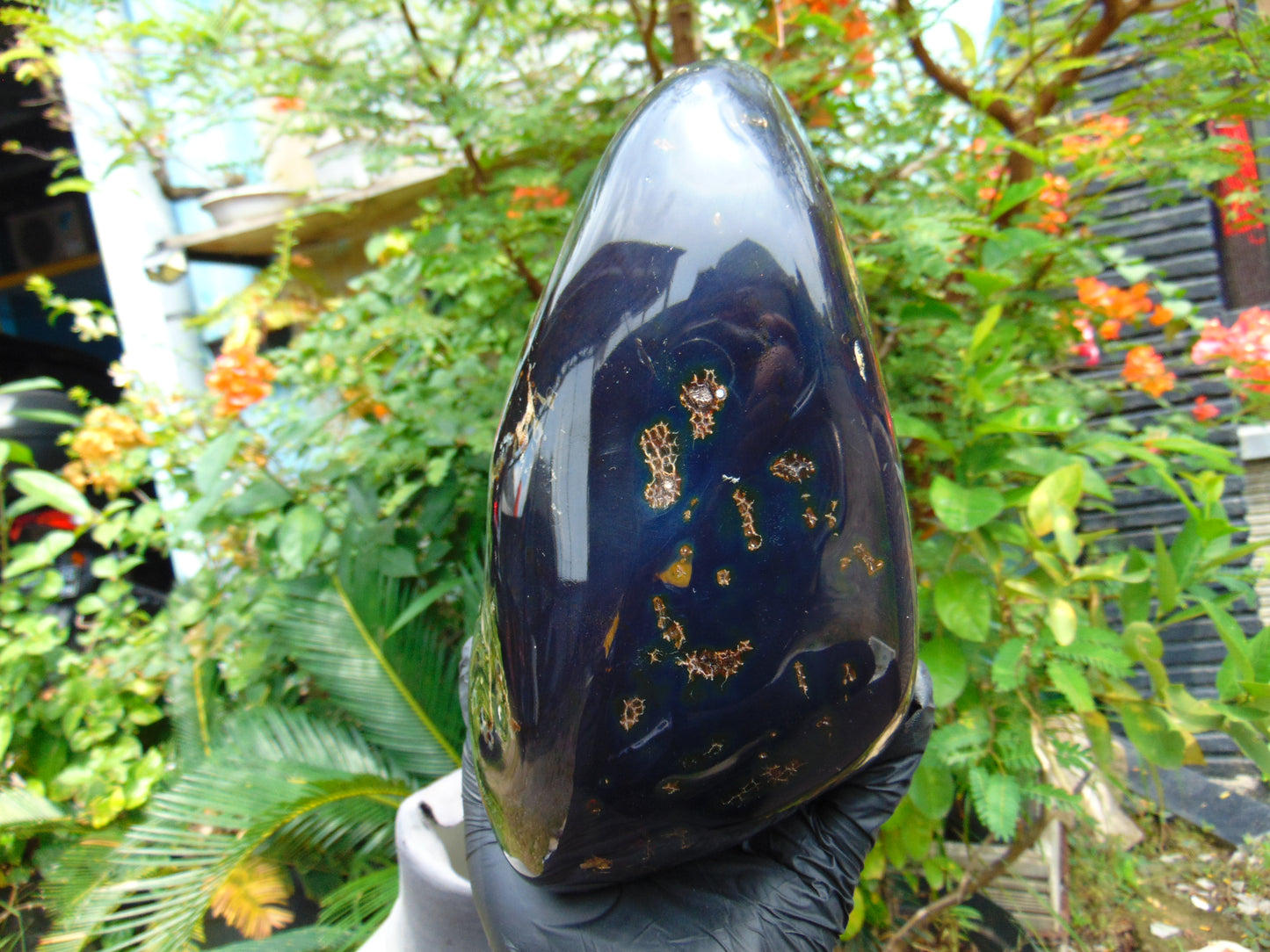 1643 gr Blue Polished 22x11x9 mm Indonesia Black Blue Amber for Healing ML59