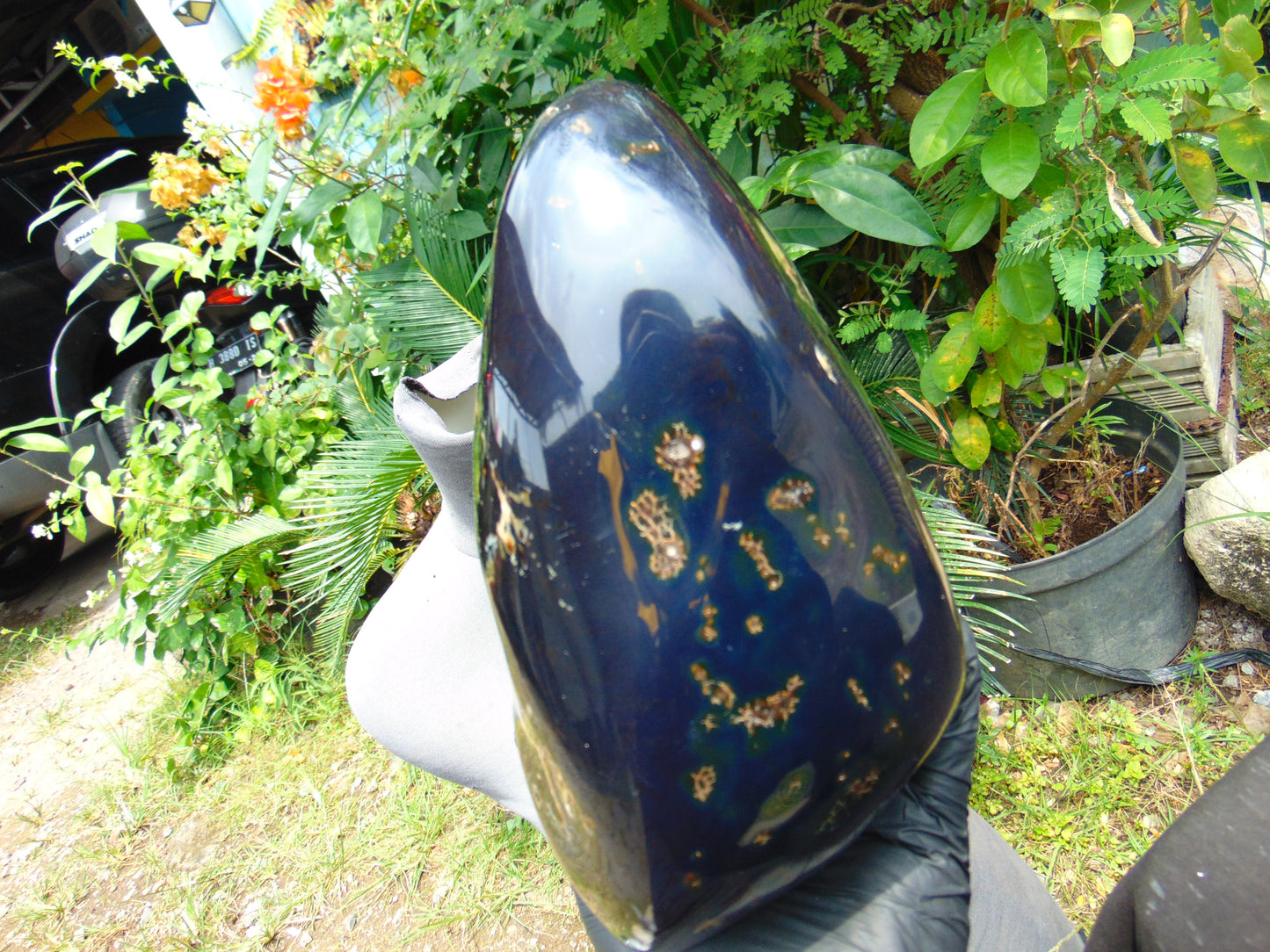 1643 gr Blue Polished 22x11x9 mm Indonesia Black Blue Amber for Healing ML59