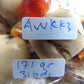 171 gr 31 beads Big Necklace Indonesian white Amber for Healing AWKK3