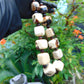 285 gr 25 beads Big Necklace Indonesian white Amber for Healing AWKK6