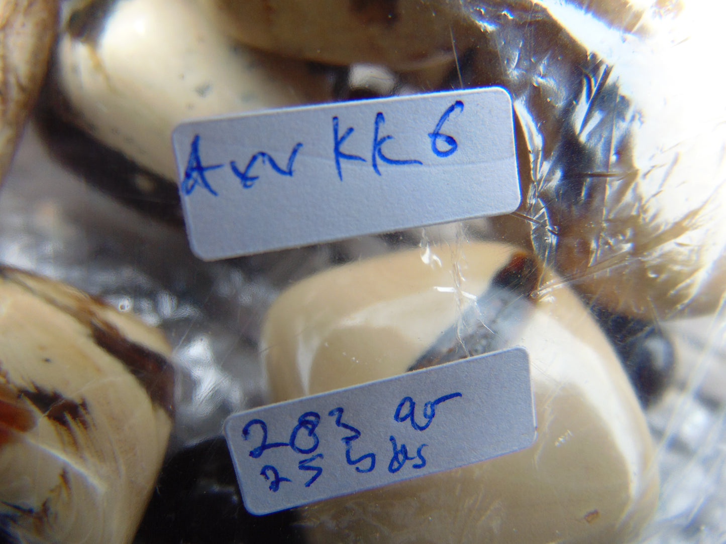 285 gr 25 beads Big Necklace Indonesian white Amber for Healing AWKK6