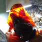 357 gram Dragon carving 7x3.5x3.1"  Indonesian Dark Green Amber