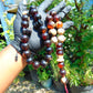 148 gr BIG Tasbih 33+3 Beads Mesbah Rosary Indonesian Dark White Amber for Healing FR29