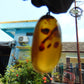 9 gr Pendant Indonesian orange Blue Amber for Healing A99
