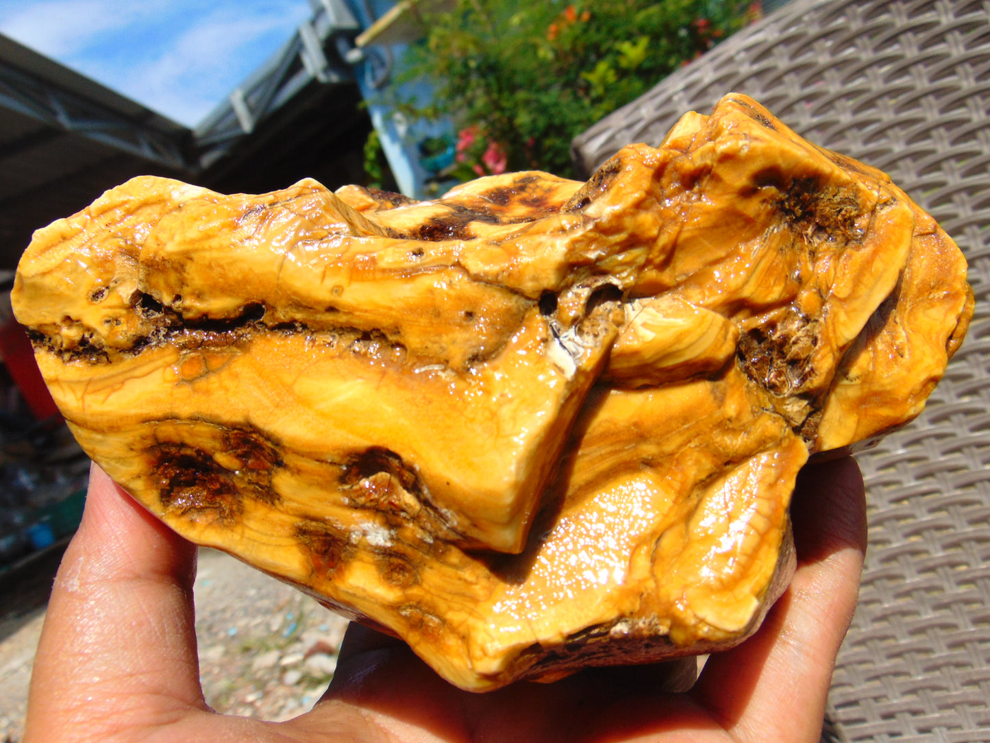 592 gram Polished Indonesia Yellow Aromatic Amber for Healing 26AYE54