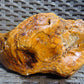 556 gram Polished Indonesia Yellow Aromatic Amber for Healing 26AYE71