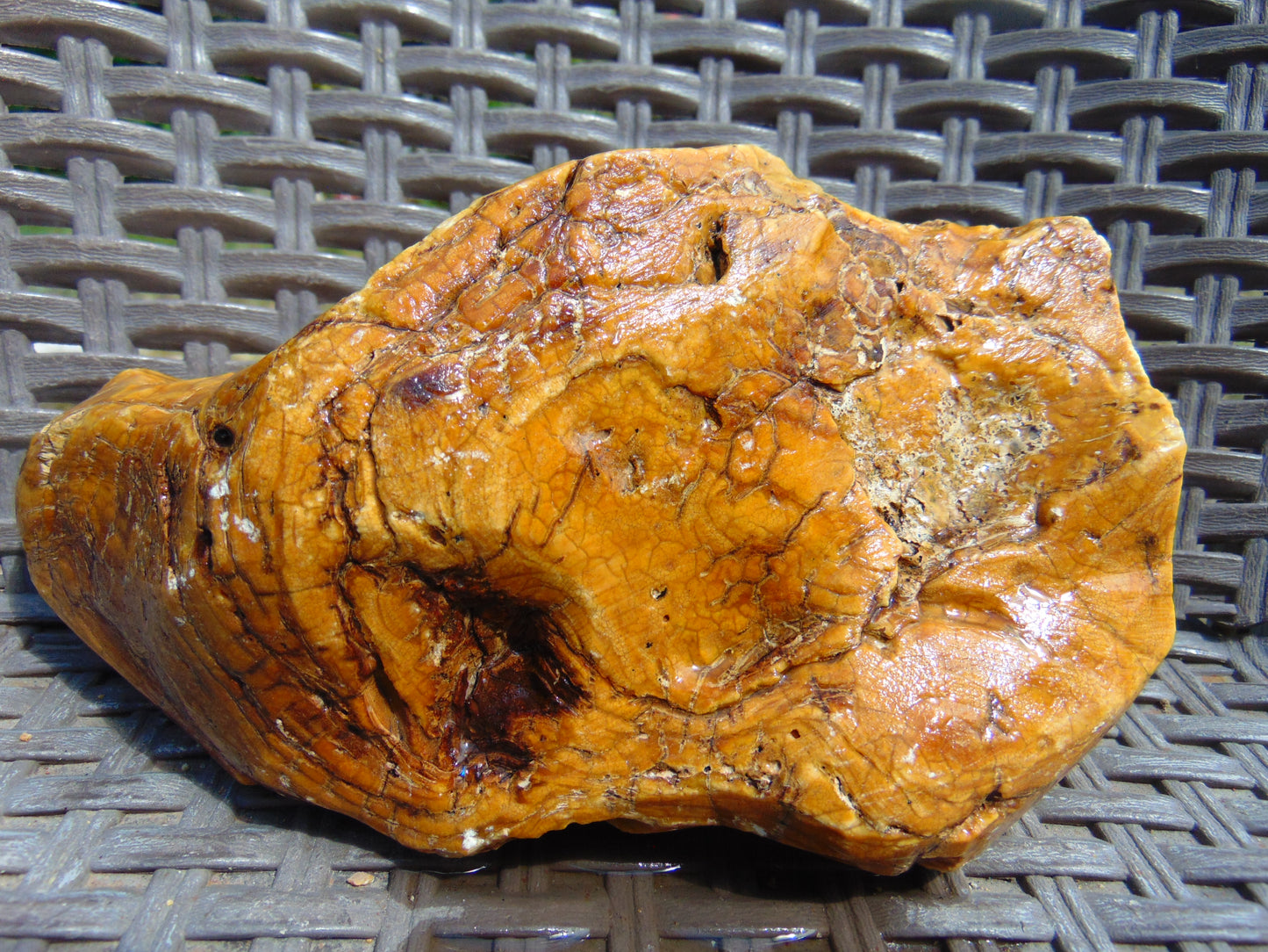 556 gram Polished Indonesia Yellow Aromatic Amber for Healing 26AYE71