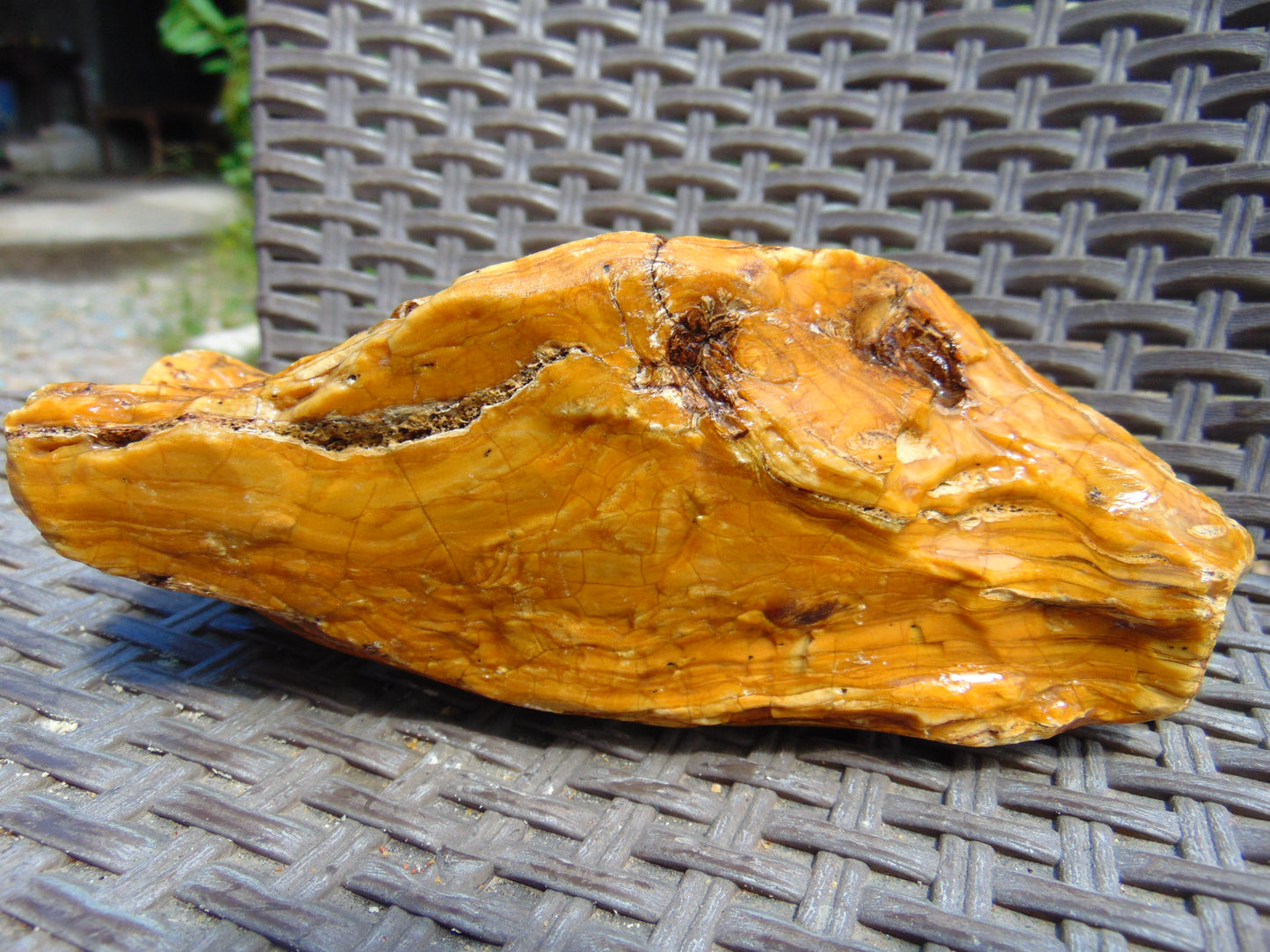 556 gram Polished Indonesia Yellow Aromatic Amber for Healing 26AYE71