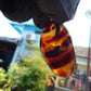 7 gr Pendant Indonesian  Blue Amber for Healing A58
