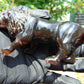 68 gr The 3D lion carving on Indonesian Cherry Red Amber for Healing L3P1