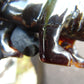 68 gr The 3D lion carving on Indonesian Cherry Red Amber for Healing L3P1