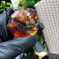 51 gr Donut Pendant Indonesian Amber for Healing 25N107