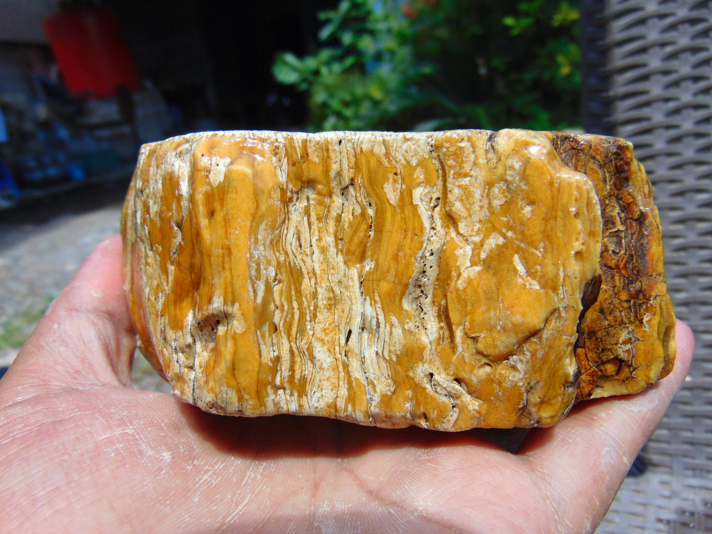 426 gram Polished Indonesia Yellow Aromatic Amber for Healing 26AYE24