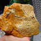 426 gram Polished Indonesia Yellow Aromatic Amber for Healing 26AYE24