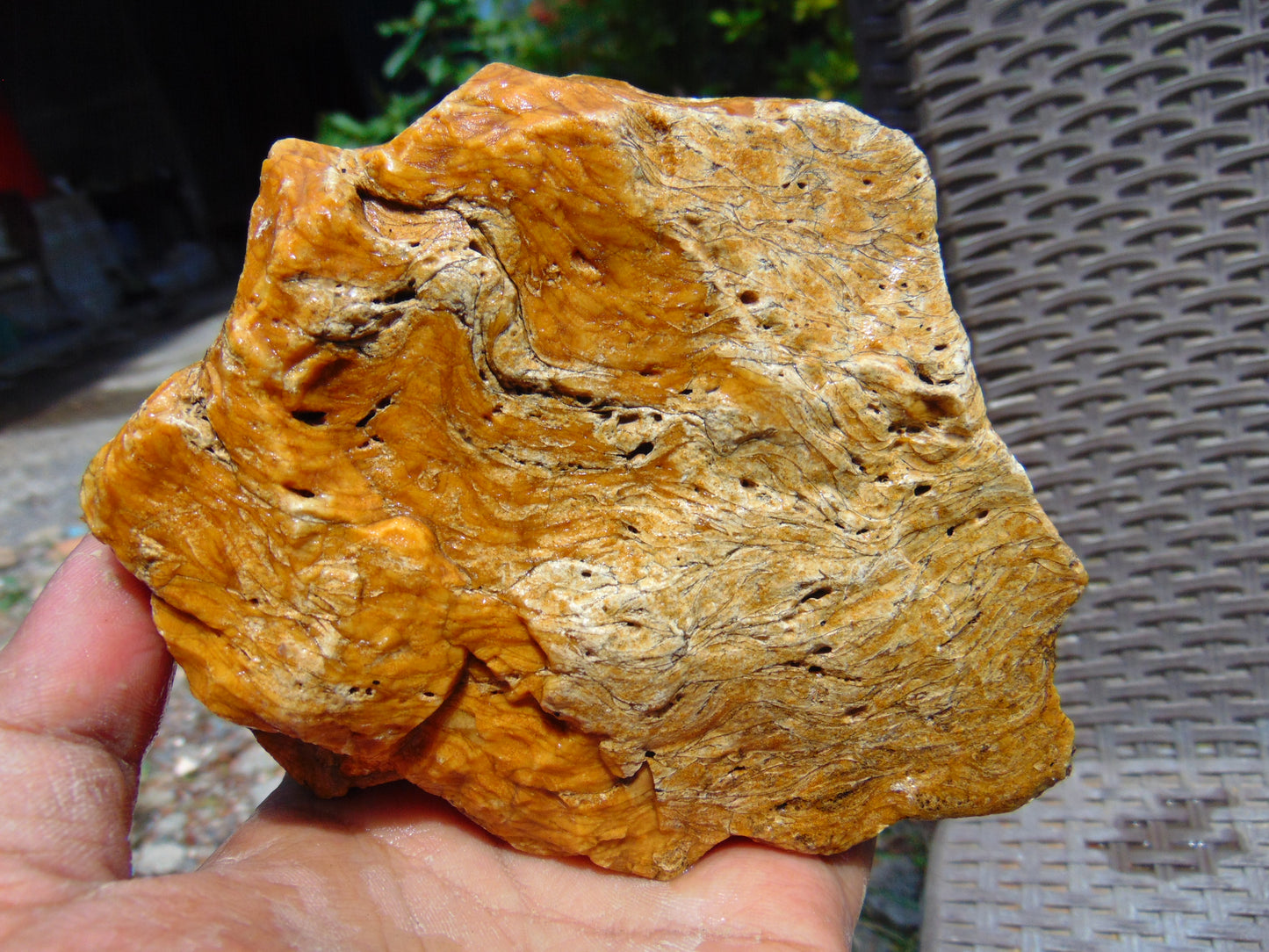 426 gram Polished Indonesia Yellow Aromatic Amber for Healing 26AYE24