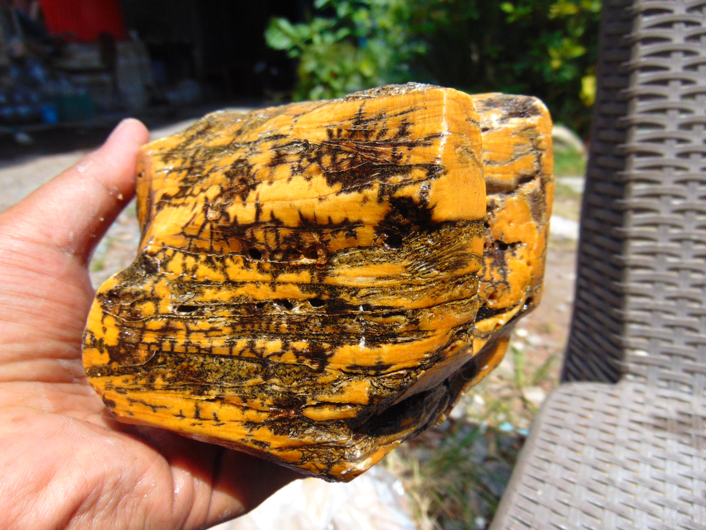 895 gram Polished Indonesia Yellow Aromatic Amber for Healing 26AYE46
