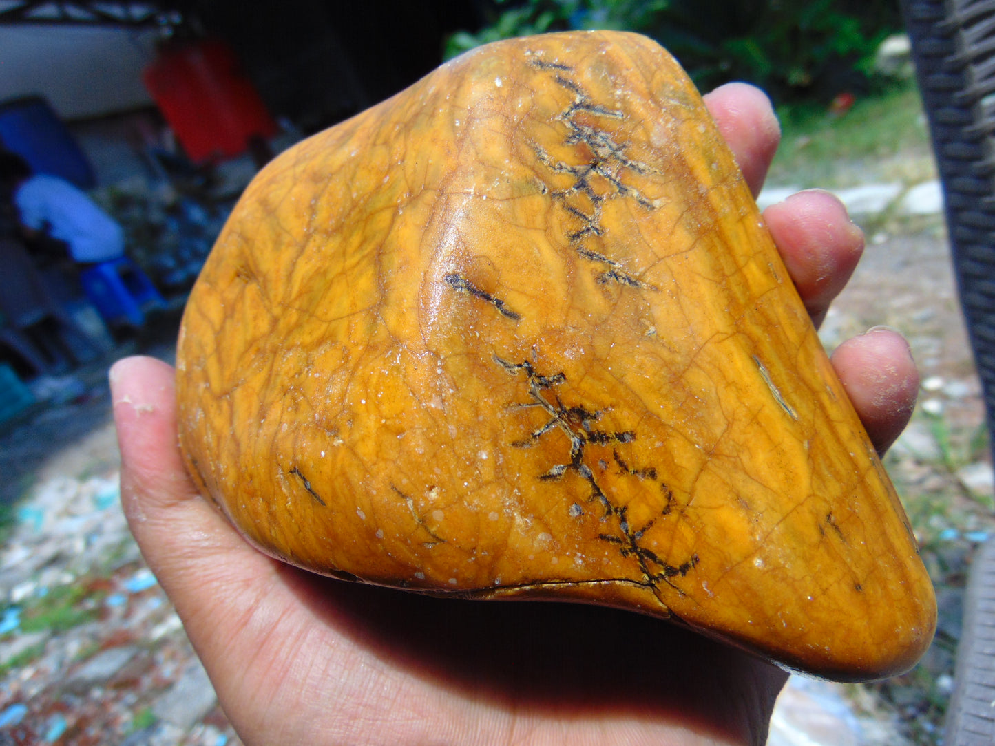 343 gram Polished Indonesia Yellow Aromatic Amber for Healing KM10