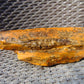 1163 gram Indonesia Yellow Aromatic Amber for Healing KM21