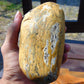 425 gram Polished Indonesia Yellow Aromatic Amber for Healing 26AYE53