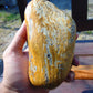 425 gram Polished Indonesia Yellow Aromatic Amber for Healing 26AYE53