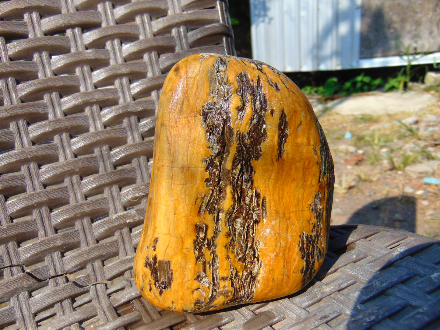 233 gram Polished Indonesia Yellow Aromatic Amber for Healing 26AYE44