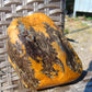 233 gram Polished Indonesia Yellow Aromatic Amber for Healing 26AYE44