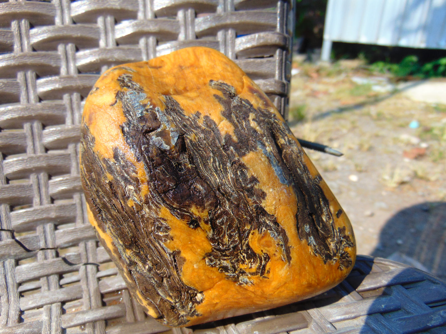 233 gram Polished Indonesia Yellow Aromatic Amber for Healing 26AYE44