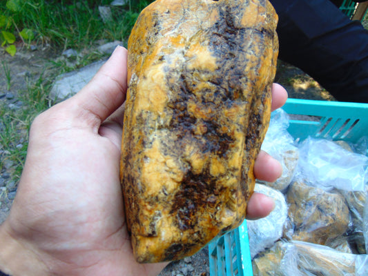 329 gram Polished Indonesia Yellow Aromatic Amber for Healing 26AYE25