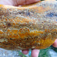 361 gram Polished Indonesia Yellow Aromatic Amber for Healing 26AYE39
